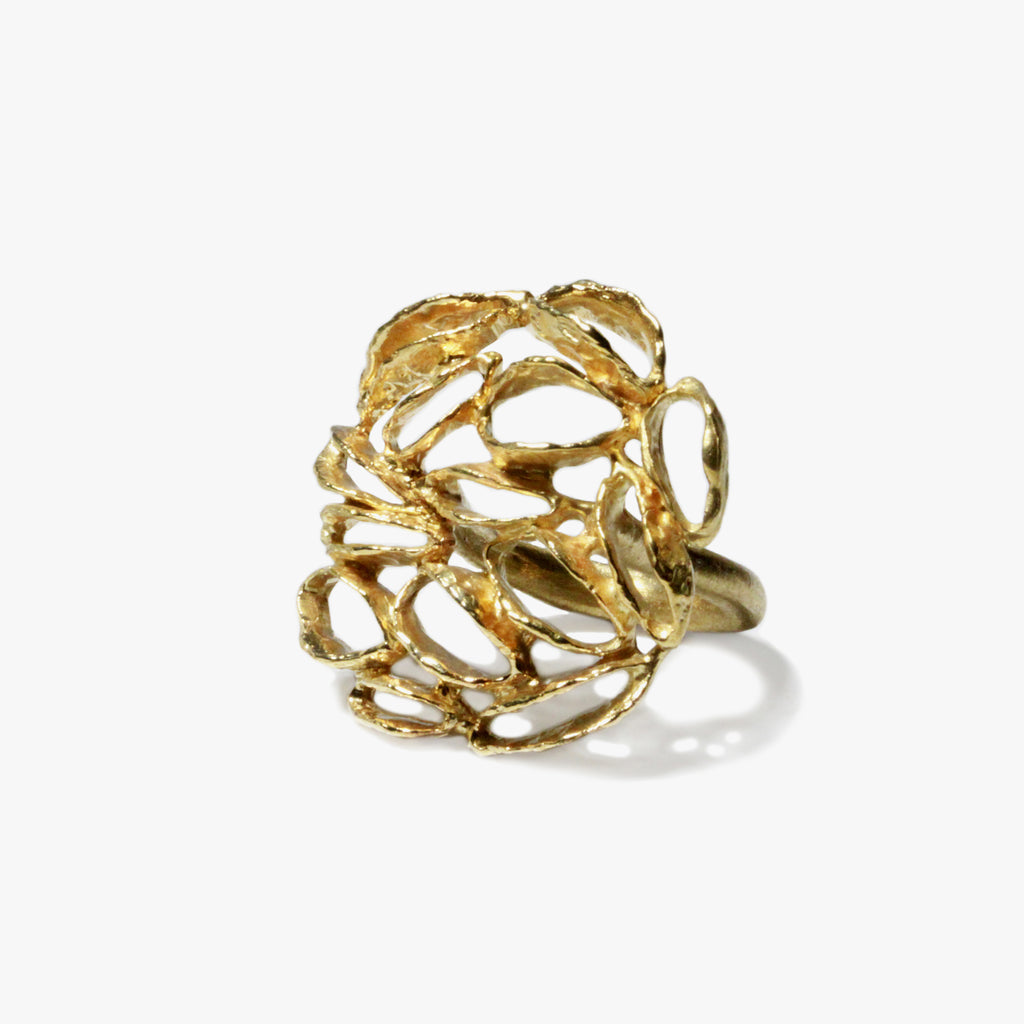 Banksia Medallion Ring - Yellow Bronze | Kirsten Muenster Jewelry