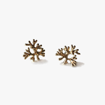 Fan Earrings - Yellow Bronze | Kirsten Muenster Jewelry