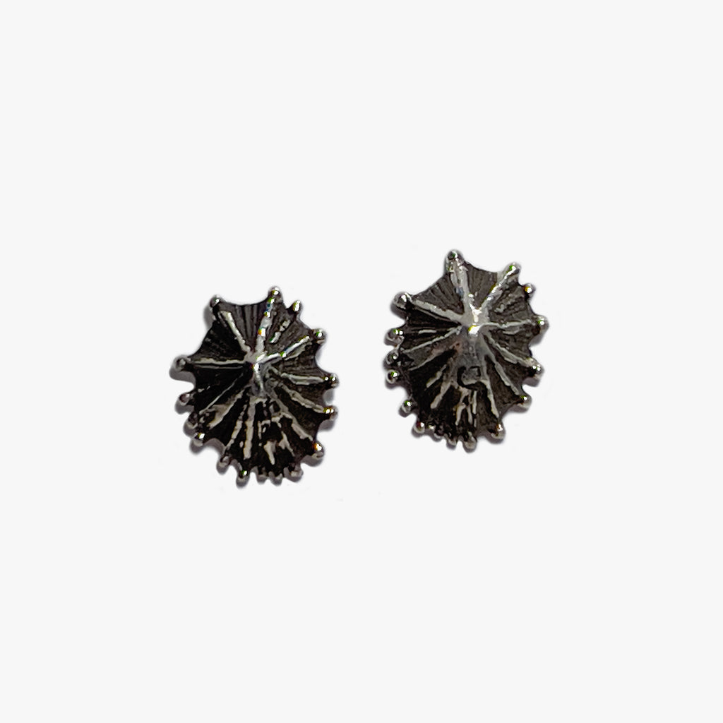 Tiny Limpet Earrings - Silver | Kirsten Muenster Jewelry