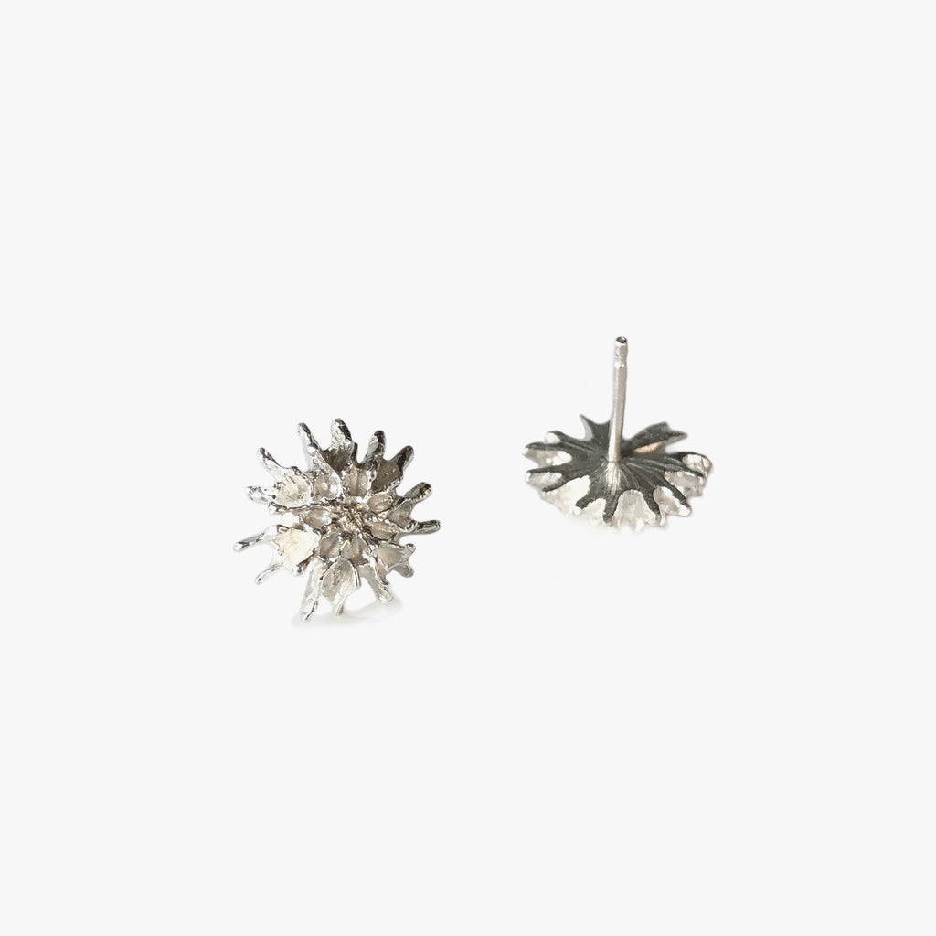 Star Pod Earrings - Silver | Kirsten Muenster Jewelry