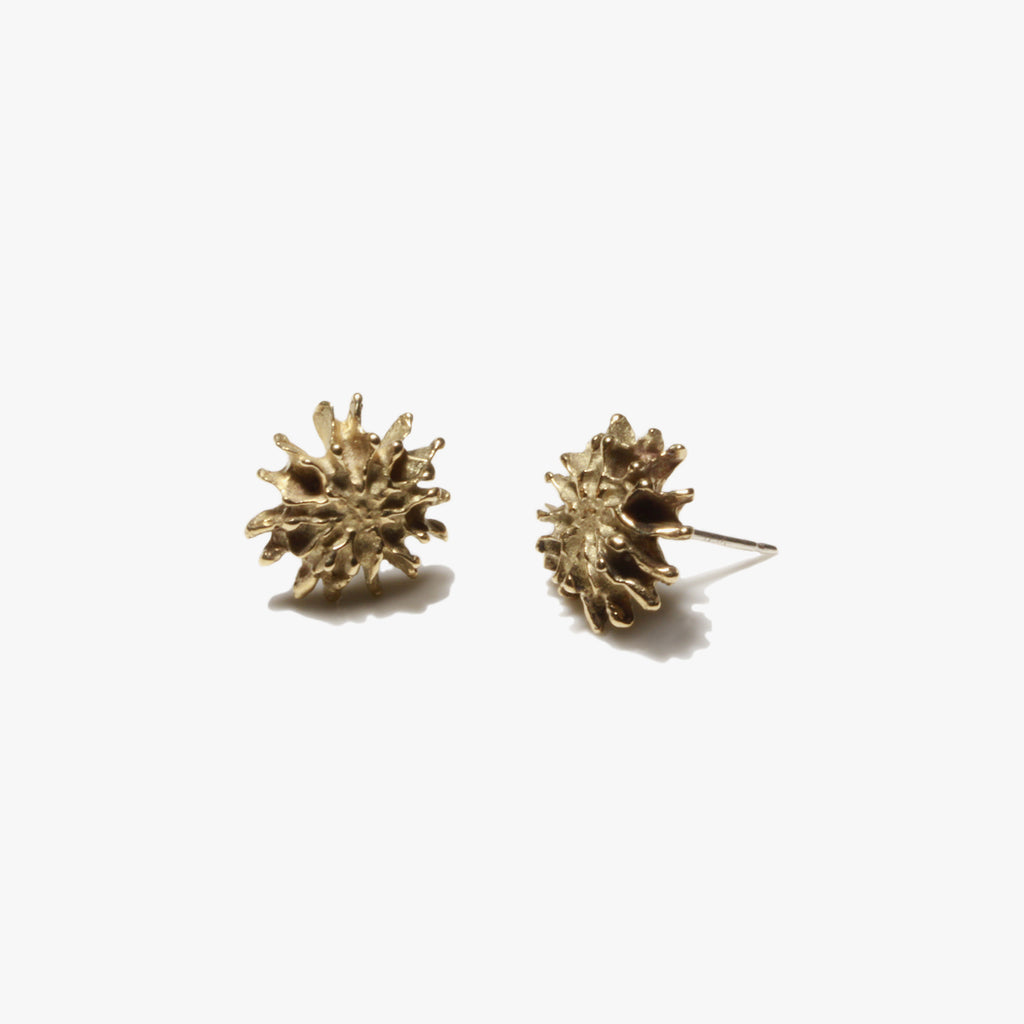 Star Pod Earrings - Yellow Bronze | Kirsten Muenster Jewelry